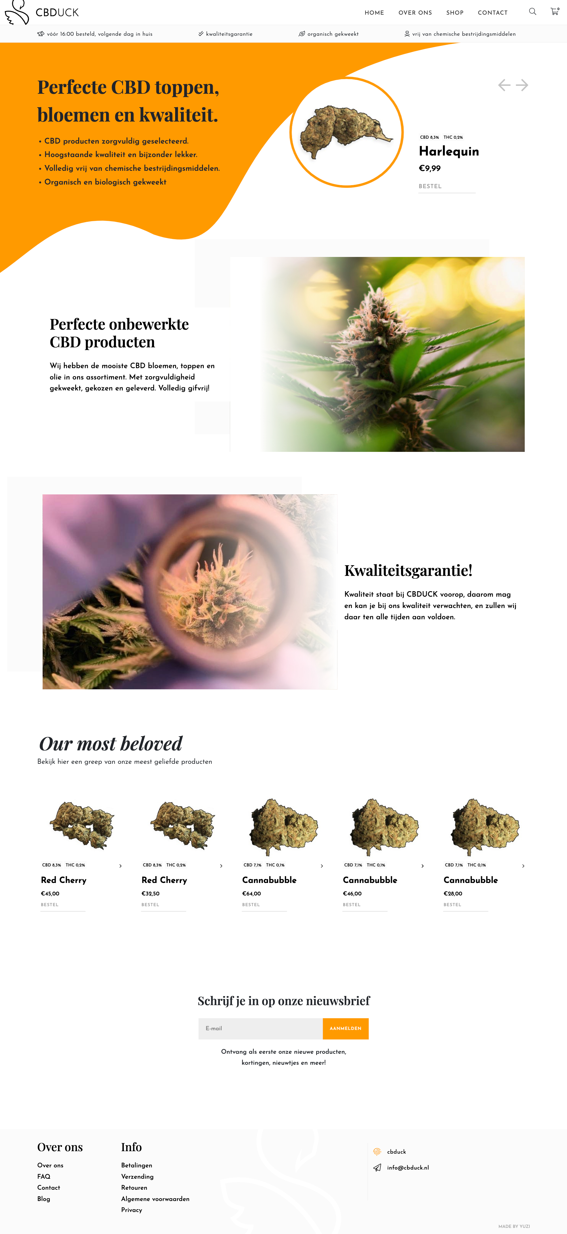 Website tablet voorbeeld